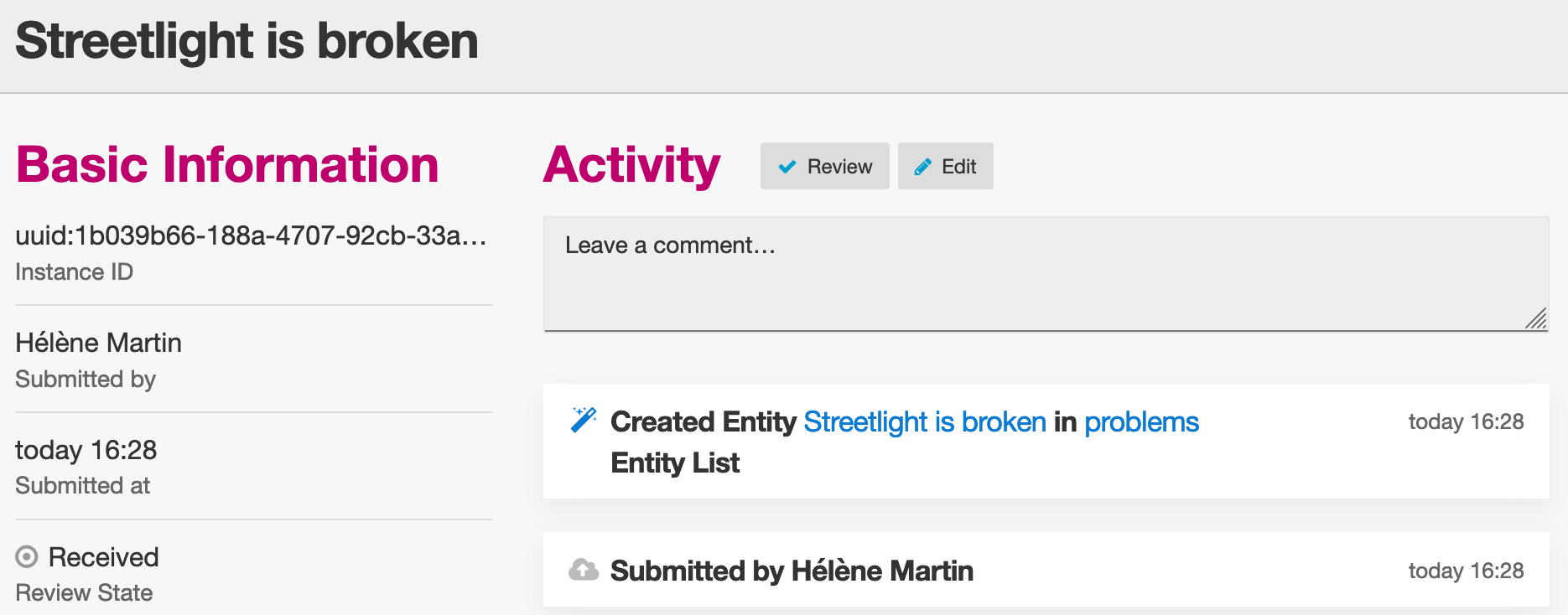 Submission details for a ``Report a problem`` submission that creates an Entity.